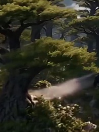 天淵帝尊 - Episode 48