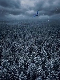 Episode 1 - Magische Bestien