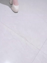 第27集 - 報告!千金她畫風不對