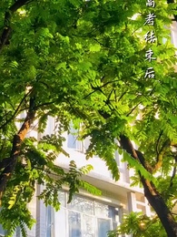 第53集 - A爆黑白兩道真千金又掉馬了