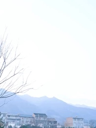 第31集 - 野火纏嬌