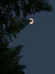 野火纏嬌 - Episode 21
