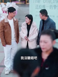 第28集 - 繁華謝後遇春風