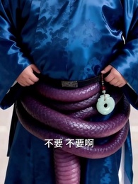 第21集 - 泰山雙蛇怨