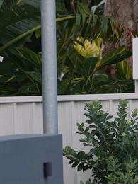 Серия 7 - Развод и возрождение