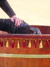 Tập 14 - Phượng Hoàng Tái Sinh