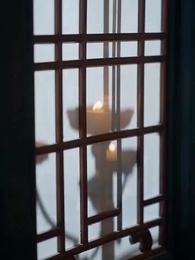 Episodio 15 - La Marquesa del mérito