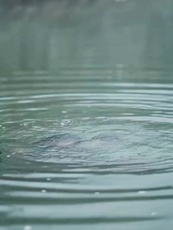 か弱き女子の無敵生活 - Episode 9