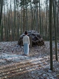 Episodio 6 - La Marquesa del mérito