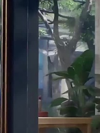 Episodio 26 - Ahora es Tarde para Volver