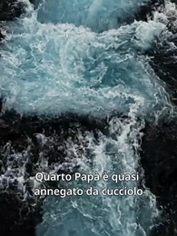 Episodio 5 - Il Sangue dei Re Alfa