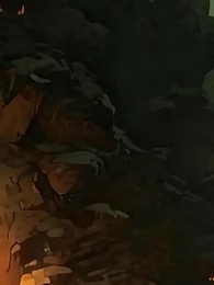 開局吞噬SSS級御獸,我無敵了 - Episode 33