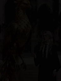 Episode 10 - Reborn, I Abandoned Phoenix for the Black Snake