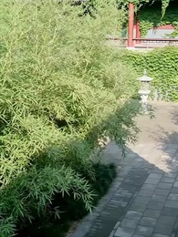 第31集 - 柔妃深宮逆襲