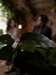 Episode 4 - Reborn, I Abandoned Phoenix for the Black Snake