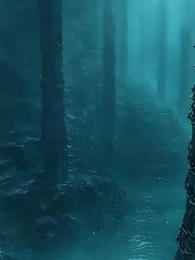 De carpe à dragon : son ascension vers les cieux - Episode 36