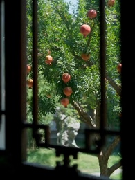 Episode 41 - No Spring in This Courtyard