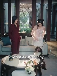Episode 28 - [Dubbed] Hartley's Stolen Heiress