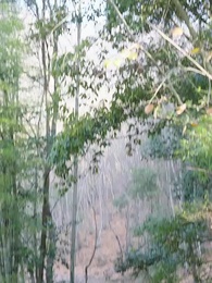 Tập 50 - Phong Ba Điện Thí