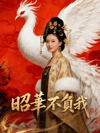 昭華不負我