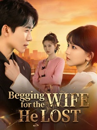 Begging for the Wife He Lost poster