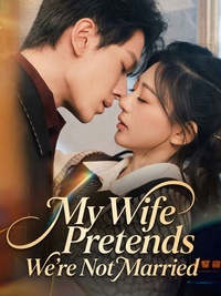 My Wife Pretends We’re Not Married poster