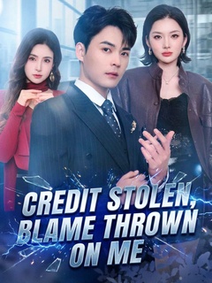 Credit Stolen, Blame Thrown on Me poster
