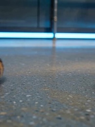 末世降臨:你管這叫動物園 - Episode 29