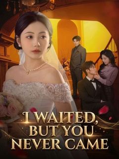 I Waited, But You Never Came poster