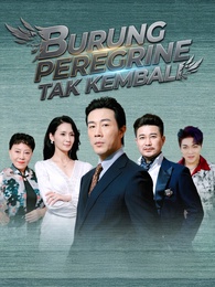 Burung Peregrine Tak Kembali