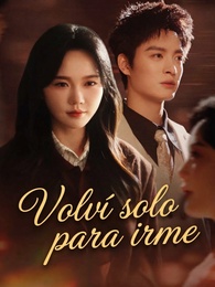 Volví solo para irme