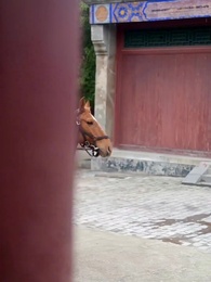 Tập 2 - Cách Cách Là Nhà Khoa Học Nhí