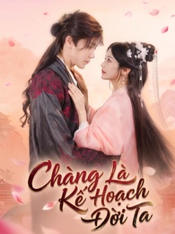Chàng Là Kế Hoạch Đời Ta