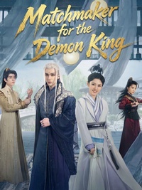 Matchmaker for the Demon King poster