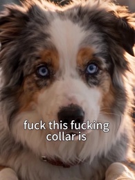 After I could understand what dogs say, I became the commander's wife - Episode 1