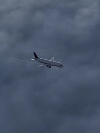 [Doublé]À huit ans, il pilote pour sauver son père - Episode 1