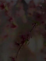 Sanki Seni Hep Tanıyordum - Episode 1