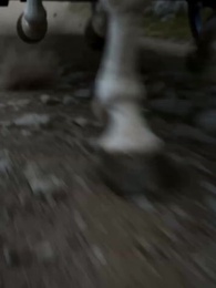 Secret Dragon - Episode 1