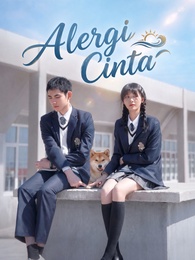 Alergi Cinta